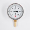 Биметаллический термометр BD ТБ 100Р/100 1161001001