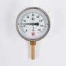 Биметаллический термометр BD ТБ 100Р/100 1161001002