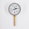 Биметаллический термометр BD ТБ 100Р/100 1161001003